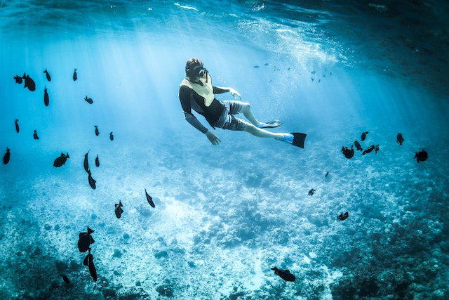 Discover Dubai’s Underwater World: Best Diving Spots and Marine Life
